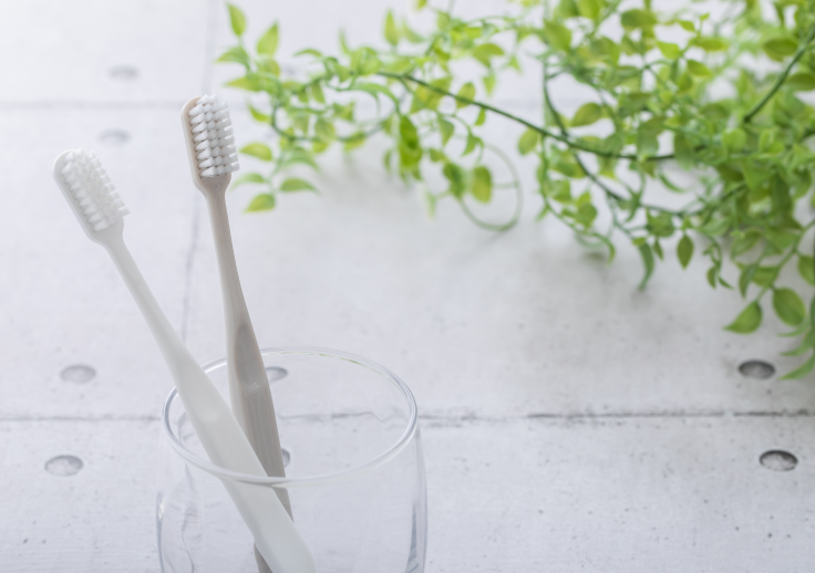 歯ブラシはいつ替える？1ヶ月交換がすすめられる理由と正しいケア習慣